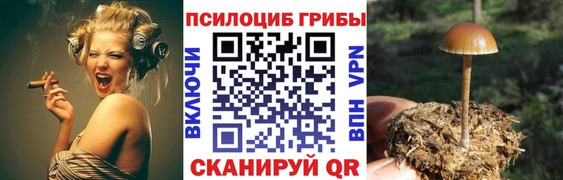 Псилоцибиновые грибы мухоморы omg зеркало Елизаветинская